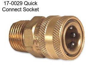 17-0029 Quick Connect Socket