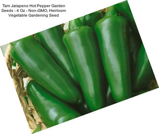 Tam Jalapeno Hot Pepper Garden Seeds - 4 Oz - Non-GMO, Heirloom Vegetable Gardening Seed
