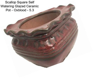 Scallop Square Self Watering Glazed Ceramic Pot - Oxblood - 5.3\