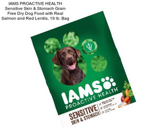 IAMS PROACTIVE HEALTH Sensitive Skin & Stomach Grain Free Dry Dog Food with Real Salmon and Red Lentils, 19 lb. Bag