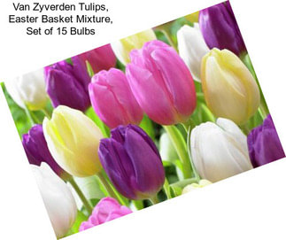 Van Zyverden Tulips, Easter Basket Mixture, Set of 15 Bulbs