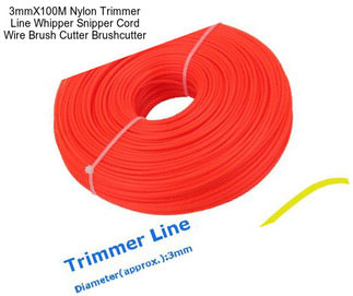 3mmX100M Nylon Trimmer Line Whipper Snipper Cord Wire Brush Cutter Brushcutter