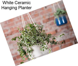 White Ceramic Hanging Planter