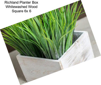 Richland Planter Box Whitewashed Wood Square 6\