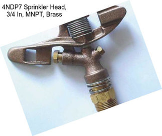 4NDP7 Sprinkler Head, 3/4 In, MNPT, Brass