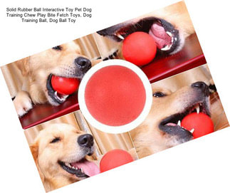 Solid Rubber Ball Interactive Toy Pet Dog Training Chew Play Bite Fetch Toys, Dog Training Ball, Dog Ball Toy