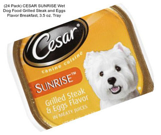 (24 Pack) CESAR SUNRISE Wet Dog Food Grilled Steak and Eggs Flavor Breakfast, 3.5 oz. Tray