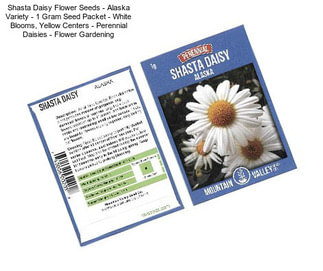 Shasta Daisy Flower Seeds - Alaska Variety - 1 Gram Seed Packet - White Blooms, Yellow Centers - Perennial Daisies - Flower Gardening