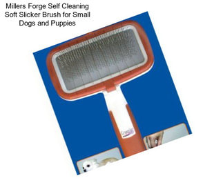 Millers Forge Self Cleaning Soft Slicker Brush for Small Dogs and Puppies