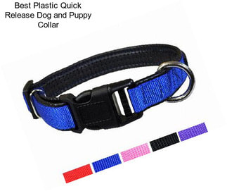 Best Plastic Quick Release Dog and Puppy Collar