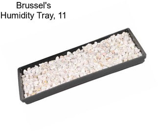 Brussel\'s Humidity Tray, 11\