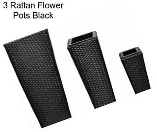 3 Rattan Flower Pots Black
