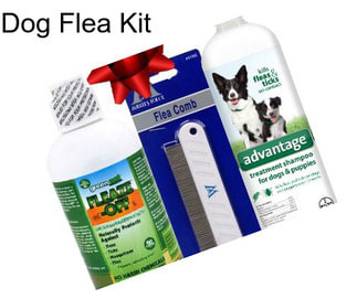 Dog Flea Kit