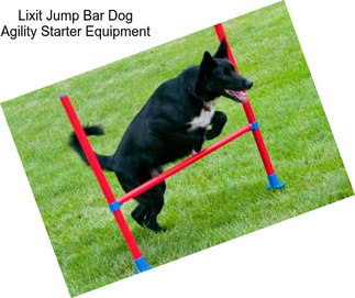 Lixit Jump Bar Dog Agility Starter Equipment
