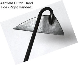 Ashfield Dutch Hand Hoe (Right Handed)