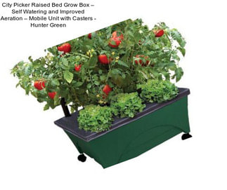 City Picker Raised Bed Grow Box – Self Watering and Improved Aeration – Mobile Unit with Casters - Hunter Green