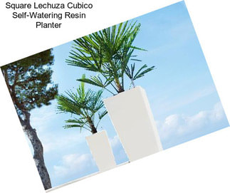 Square Lechuza Cubico Self-Watering Resin Planter