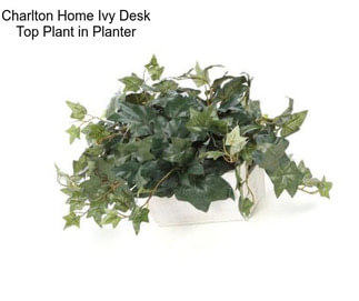 Charlton Home Ivy Desk Top Plant in Planter