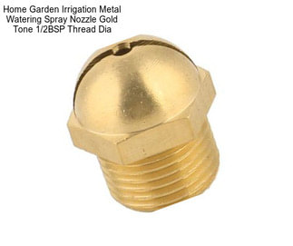 Home Garden Irrigation Metal Watering Spray Nozzle Gold Tone 1/2BSP Thread Dia