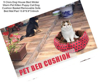 5 Clors Dog House Bed Winter Warm Pet Kitten Puppy Cat Dog Cushion Basket Removable Sofa Bed Mat Pad 13.8*9.9*3.6inch