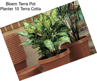 Bloem Terra Pot Planter 10\