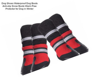 Dog Shoes Waterproof Dog Boots Anti-slip Snow Boots Warm Paw Protector for Dog in Winter