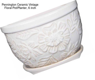 Pennington Ceramic Vintage Floral Pot/Planter, 6 inch