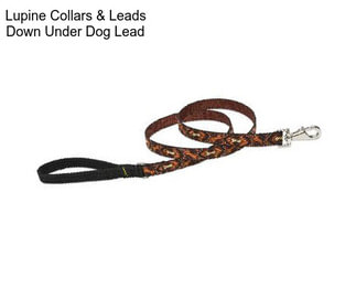 Lupine Collars & Leads Down Under Dog Lead