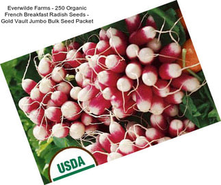 Everwilde Farms - 250 Organic French Breakfast Radish Seeds - Gold Vault Jumbo Bulk Seed Packet