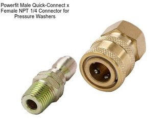 Powerfit Male Quick-Connect x Female NPT 1/4\