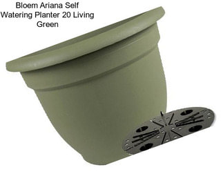 Bloem Ariana Self Watering Planter 20\