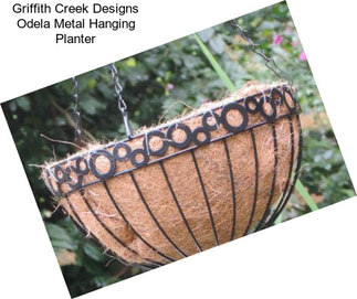 Griffith Creek Designs Odela Metal Hanging Planter