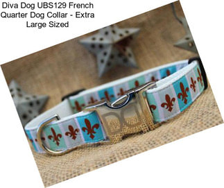 Diva Dog UBS129 French Quarter Dog Collar - Extra Large Sized