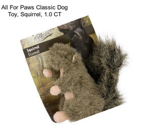 All For Paws Classic Dog Toy, Squirrel, 1.0 CT