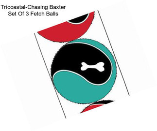 Tricoastal-Chasing Baxter Set Of 3 Fetch Balls