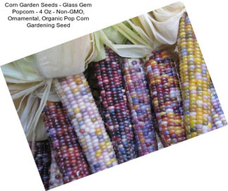 Corn Garden Seeds - Glass Gem Popcorn - 4 Oz - Non-GMO, Ornamental, Organic Pop Corn Gardening Seed