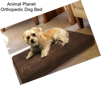 Animal Planet Orthopedic Dog Bed