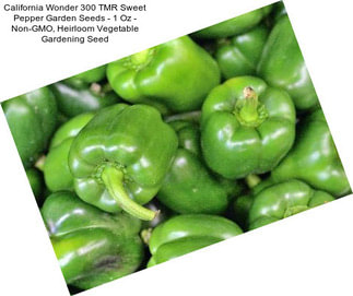 California Wonder 300 TMR Sweet Pepper Garden Seeds - 1 Oz - Non-GMO, Heirloom Vegetable Gardening Seed