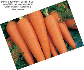 Danvers 126 Carrot Seeds - 4 Oz - Non-GMO, Heirloom Vegetable Garden Seeds - Gardening, Microgreens