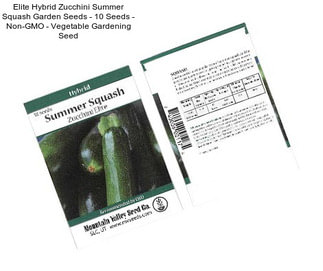 Elite Hybrid Zucchini Summer Squash Garden Seeds - 10 Seeds - Non-GMO - Vegetable Gardening Seed