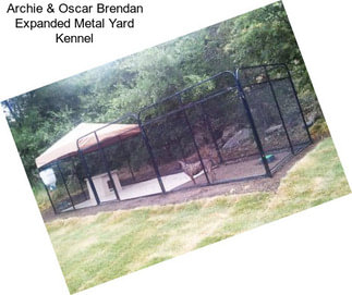 Archie & Oscar Brendan Expanded Metal Yard Kennel