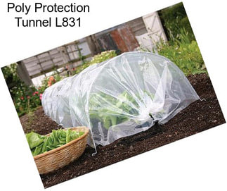 Poly Protection Tunnel L831