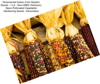 Ornamental Indian Corn Garden Seeds - 1 Lb - Non-GMO, Heirloom, Open Pollinated Vegetable Gardening Seeds - Decorative