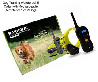 Dog Training Waterproof E Collar with Rechargeable Remote for 1 or 2 Dogs