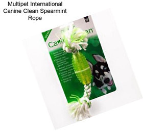 Multipet International Canine Clean Spearmint Rope