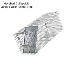 Havahart Collapsible Large 1-Door Animal Trap