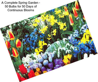 A Complete Spring Garden - 50 Bulbs for 50 Days of Continuous Blooms