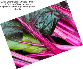 Swiss Chard Garden Seeds - Pink - 1 Oz - Non-GMO, Heirloom Vegetable Gardening & Microgreens Seeds