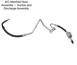 A/C Manifold Hose Assembly -- Suction and Discharge Assembly