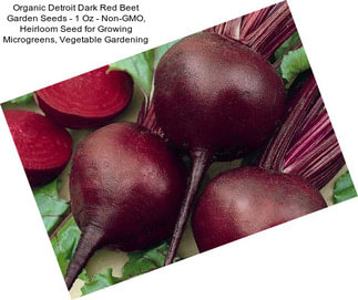 Organic Detroit Dark Red Beet Garden Seeds - 1 Oz - Non-GMO, Heirloom Seed for Growing Microgreens, Vegetable Gardening